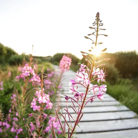 펜션 Haus Wunschlos Auf Aderich *