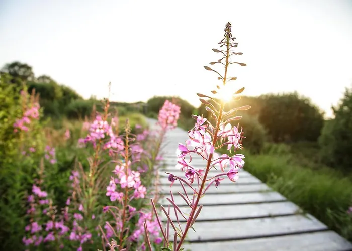 펜션 Haus Wunschlos Auf Aderich *