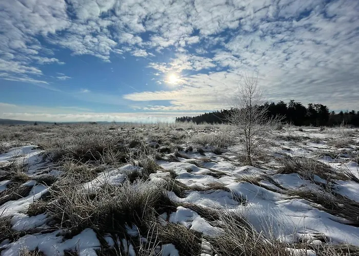 Semesterbostad Haus Wunschlos Auf Aderich
